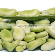 Sinocharm Frozen Vegetable Fresh and Insect Free Certified China Frozen Broad Bean thumbnail-2