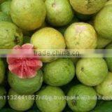 Pink ,White Guava Export in India thumbnail-2