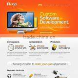 Customized Software Development thumbnail-1