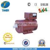 Twain Single-Phase ST Alternator Generator With High Quality
