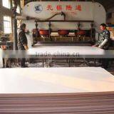 Shuyang Dapeng Decoration Materials Co., Ltd. company overview - view 3 thumbnail