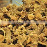 2014 Galangal Root thumbnail-1