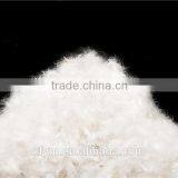 EN12934 80% Hot Selling Goose Down and Feather for Jackets thumbnail-1