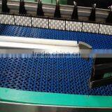 POM Belt Conveyor/modular Conveyor Factory Price thumbnail-5