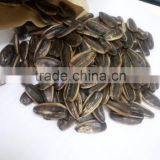 Chinese caramel flavor suger roasted sunflower seed