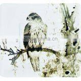 7.5" Square bird designed food grade material paper dessert plates