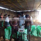 Pollachi Semi Husked Cocount thumbnail-2