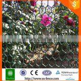 Anping Factory Direct Hexagonal Wire Netting