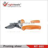 Satinless Steel Pruning Shears