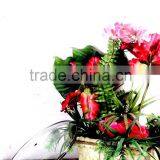 12 Cast Iron Skillet thumbnail-3