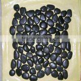 Black Decorative Polished River Pebble Stone /landsacping Pebble Stone thumbnail-1
