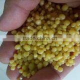 Di-ammonium Phosphate (DAP)Fertilizer thumbnail-3