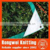 Nets Used for Collect Olives