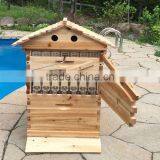 Beehive Box , Super Quality Flowhive Box ,beehive for Sale.flowhive With Flow Frame thumbnail-3