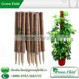 Natural Wooden Garden Stakes thumbnail-1
