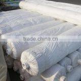 Clear LDPE Mulch Films , Greenhouse Films for Agriculture thumbnail-3