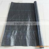 1.2x30m black 100%pp weed mat with green stripes