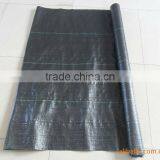 1.2x50 Black 100% pp Weed Mat With UV thumbnail-1