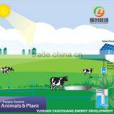 Daily Water Discharge 220 Cubic Meter at 90 m Head 15KW Solar Power Water Pump System for Agriculture Irrigation thumbnail-3