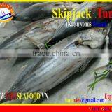 W/R FROZEN SKIPJACK TUNA thumbnail-1