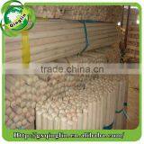 Mop Handle for Brush thumbnail-4