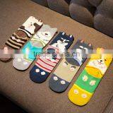 Make Your Own Bulk Wholesale Cotton Tube 3d Animal Tube Socks for Women thumbnail-1