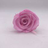 Preserved Flowers for Party Decoration thumbnail-1