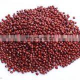 High Pressure Commercial Rice Washing Machine/Kitchen Rice Cleaning Machine thumbnail-6