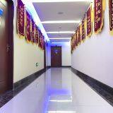 Shandong Cocoly Fertilizer Co.,Ltd. company overview - view 4 thumbnail