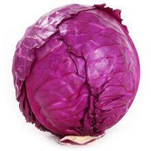 Heat Resistant f1 Hybrid Cabbage Seeds thumbnail-2