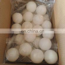Custom Solid POM PE Nylon PP Plastic Christmas Ball thumbnail-3