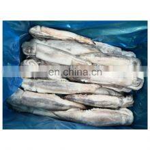 Hot Sale Single Frozen Squid Good Quality for Bait