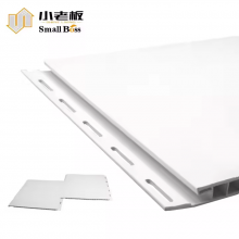 PVC Interlocking Wall and Ceiling Panel for Canada and US Market Agricultural Projects Car Wash Room Cleaning Room Warehouse thumbnail-1