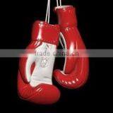 Design Your Own Boxing Gloves