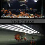 IP68 Waterproof Patented V-0 Underwater LED RGB Display CE UL Approved thumbnail-1
