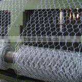 PVC Coated Hexagonal Wire Mesh