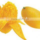 Best Seller For Mango Seed Remover Machine With Lowest Price In China thumbnail-6