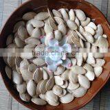 High Quality Wholesale Shine Skin Pumpkin Seeds thumbnail-5