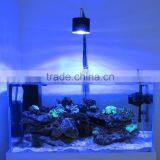Factory Direct Selling Custom Luxury Acrylic Fish Aquarium Light Clear Acrylic Fish Tank thumbnail-2