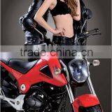 HONDAThailand Mini Monkey Bike 115cc - `135cc