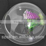 Customized Clear Acrylic Round Shape Wall Hanging Fish Tank Factory Promotion