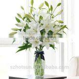 Small High Transparent Square Glass Vase thumbnail-1