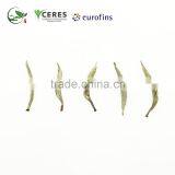 100% Natural Silver Needle White Tea Fields And Select Tea thumbnail-4