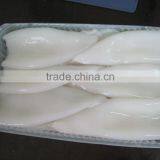 Frozen Squid Carving thumbnail-4