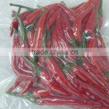 Frozen Red Chili/ Pepper - High Quality From Vietnam (with Stem) thumbnail-1