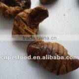 Fish Food Dried Silkworm Pupa thumbnail-3