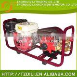 Low Power Sprayer Price,High Quality Honda Power Sprayer,Agricultural Power Sprayer