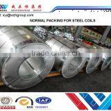 RAL6029 Popular Green Color Export to Turkmenistan for Corrugation, Customized PPGI/PPGL Steel Coil thumbnail-1