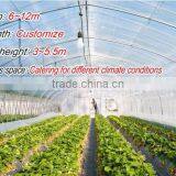 Agriculture Greenhouses in China thumbnail-5