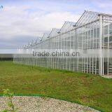 BaoLiDa Large Multi-span Greenhouse Easily Installed PC Sheet Covered Greenhouse thumbnail-2